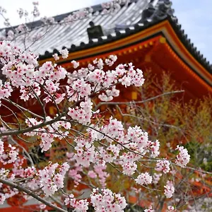 3* 公寓式酒店 Sakura 祇園北